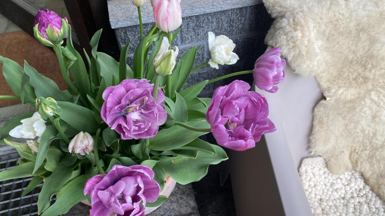 Mama Kaethe - Apartments Nenzing Dış mekan fotoğraf