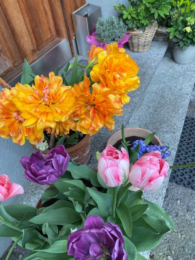 Mama Kaethe - Apartments Nenzing Dış mekan fotoğraf