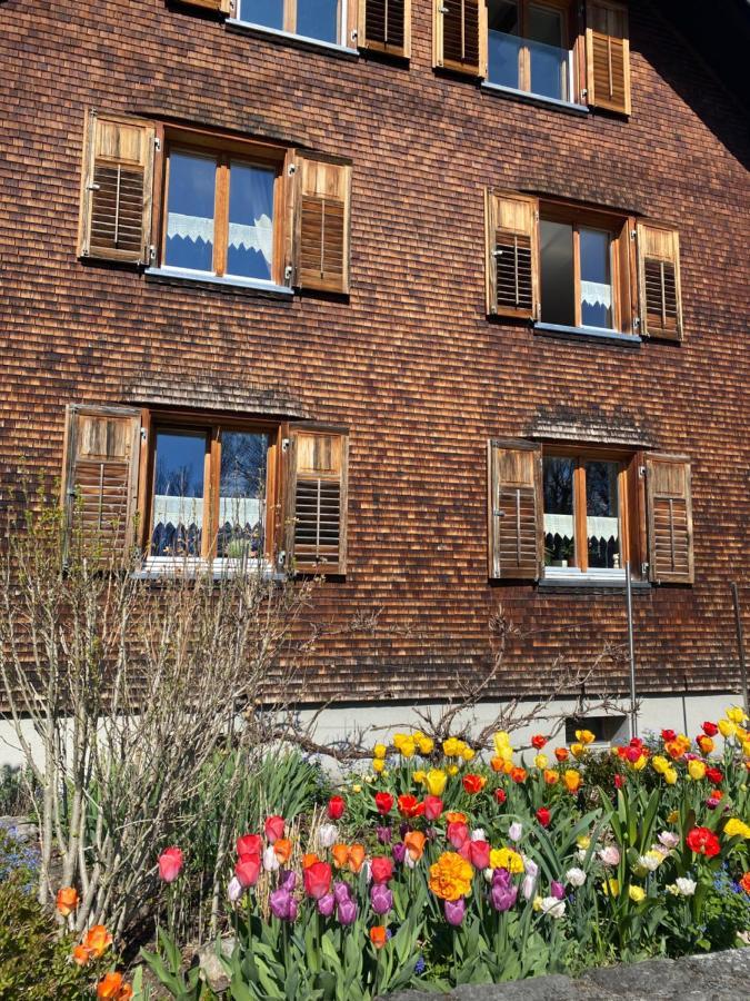 Mama Kaethe - Apartments Nenzing Dış mekan fotoğraf